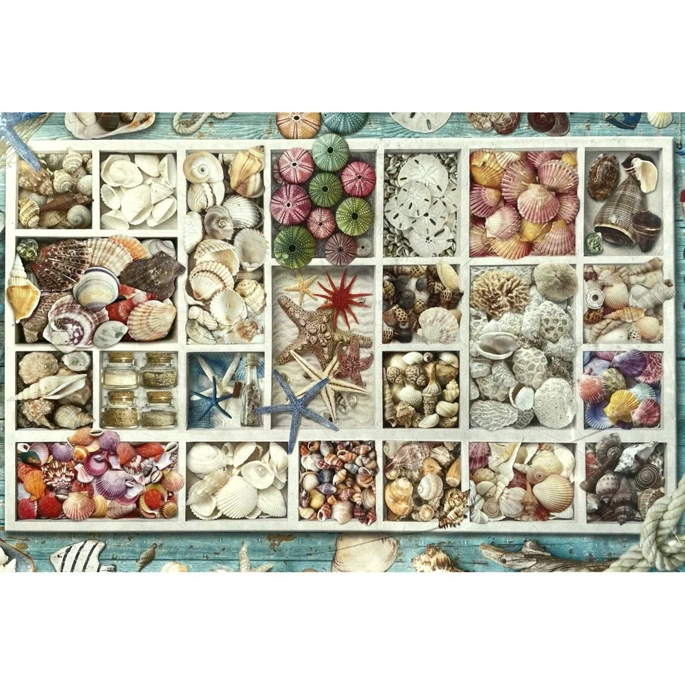 Seashell Collection 1000 Pieces Puzzle Eurographics New Sealed Jigsaw